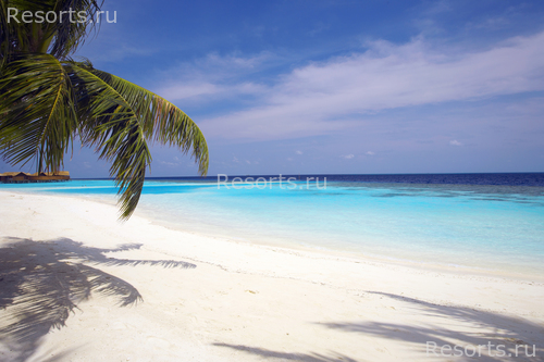 Lily Beach Resort & Spa 24